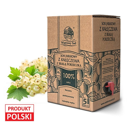 Sok jabłkowy z białą porzeczką 5l