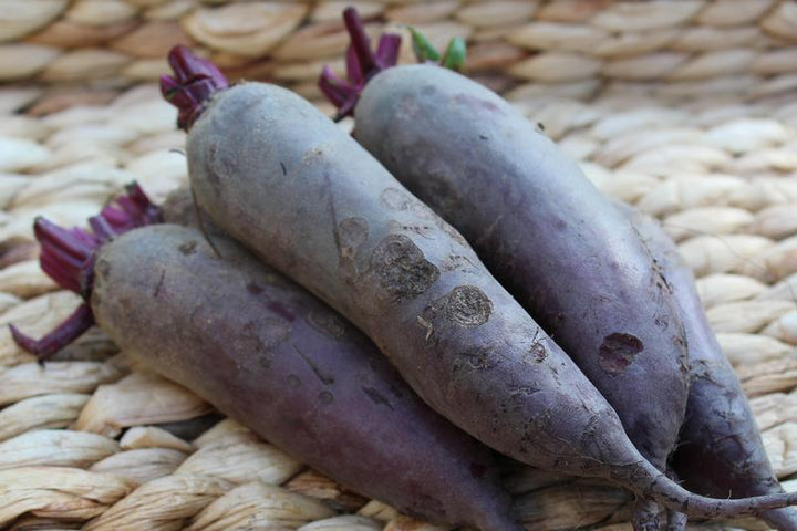 Buraki długie EKO 1 kg