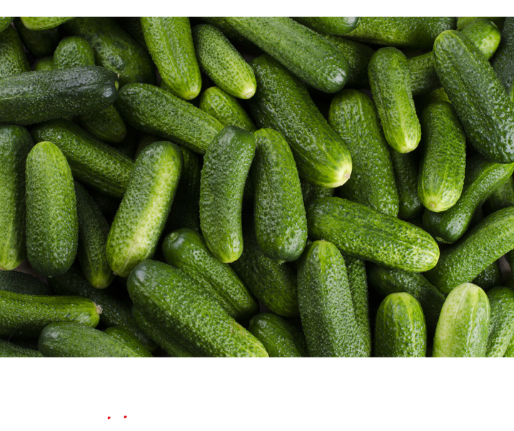 Ogórki gruntowe EKO 500 g