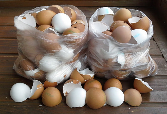 &nbsp;Skorupki Jaj: Praktyczny Recykling i Wartość w Twoim Domu