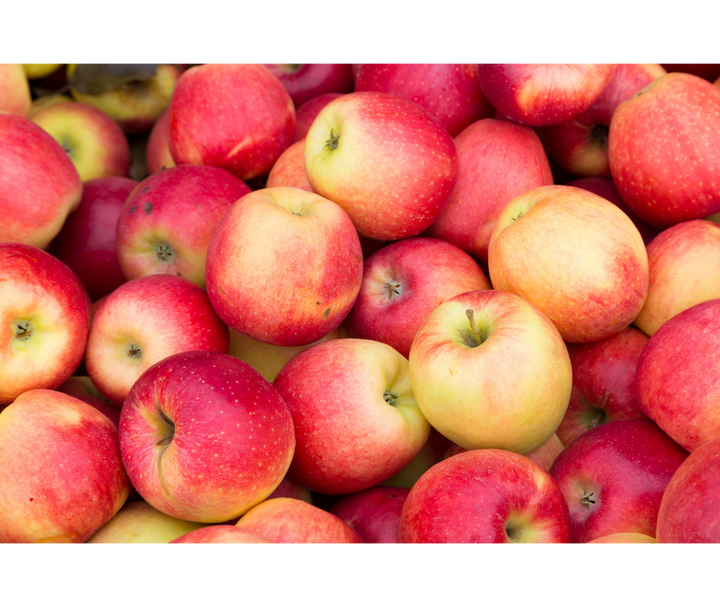 Jabłka Sampion 4 szt. ok. 900 g