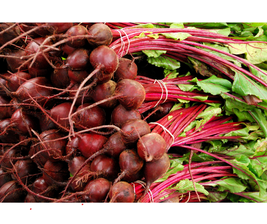 Botwina EKO - 3 pęczki