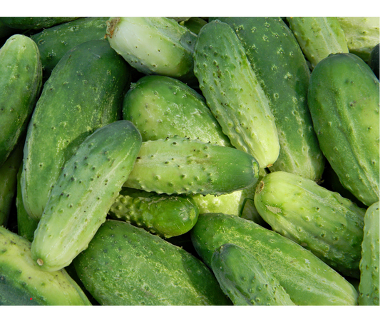 Ogórki tunelowe krótkie 1 kg