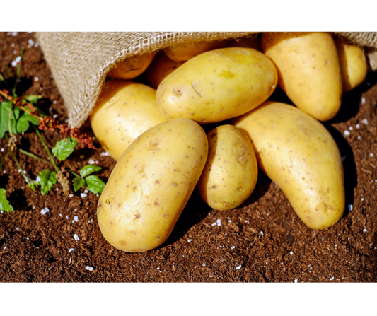 Ziemniaki młode białe EKO 1 kg