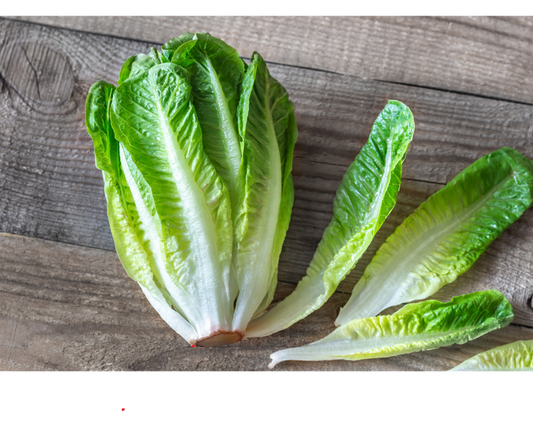 Sałata rzymska EKO 1 szt.