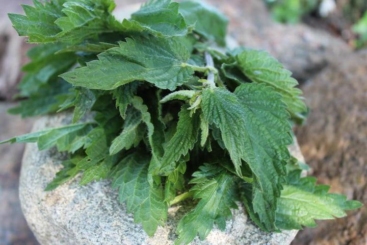 Młoda pokrzywa EKO 180 g