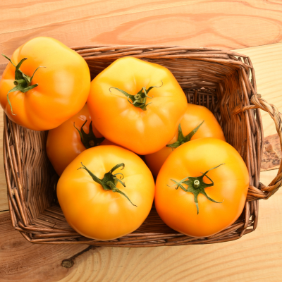 Pomidor Żółty Okrągły 500g