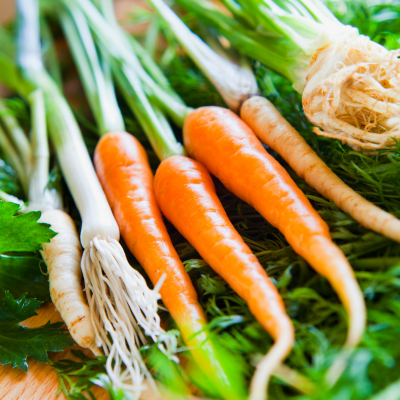 Włoszczyzna młoda pęczek